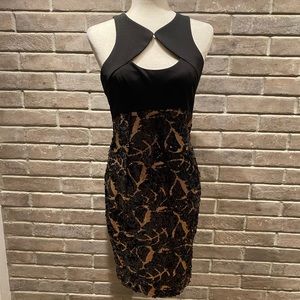 Cache women’s size small black and gold dress